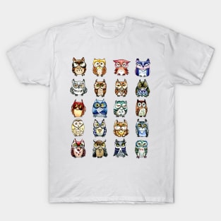 Rainbow owls and cat T-Shirt